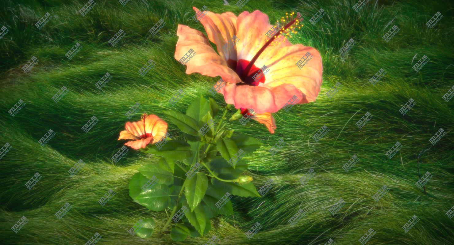 images/goods_img/20210319/Flower Open/1.jpg